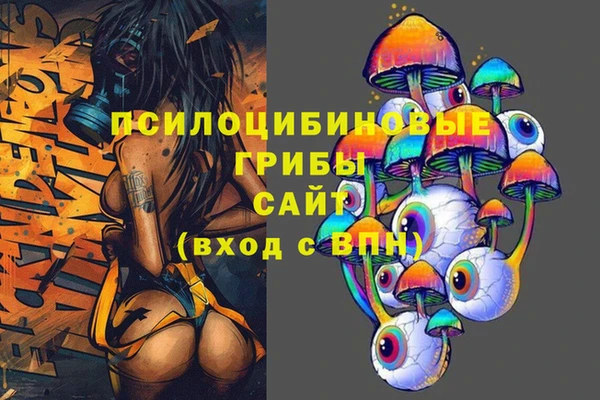 сатива Пестово